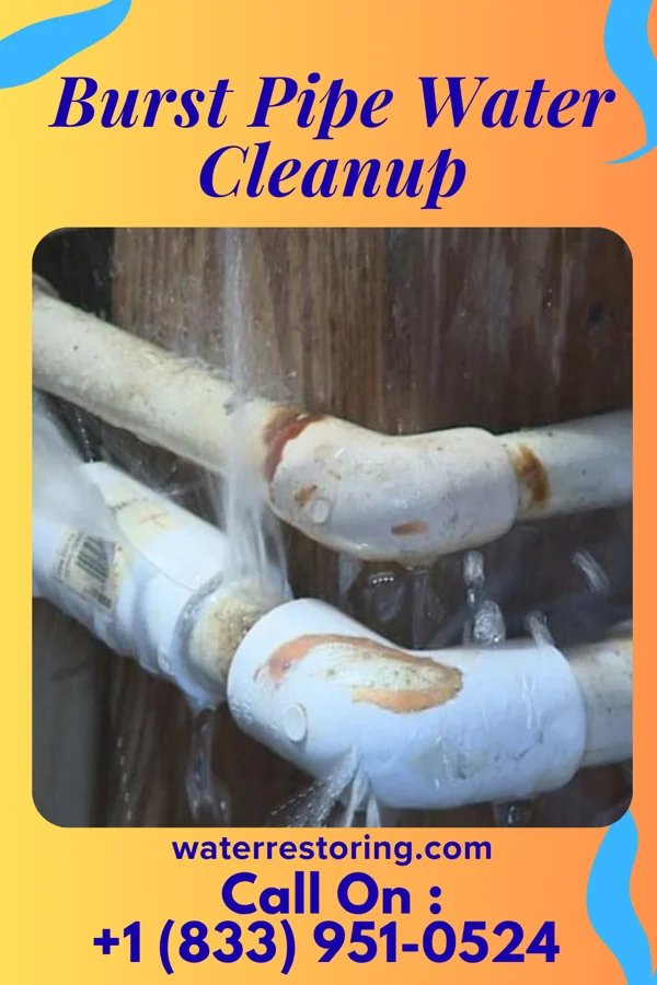 Burst Pipe Water Cleanup in Catawissa, PA