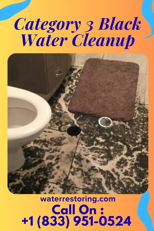 Category 3 Black Water Cleanup in Catawissa, PA