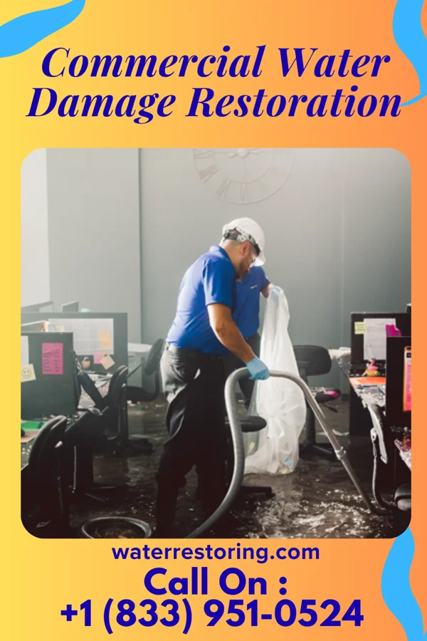 Commercial Water Damage Restoration in Catawissa, PA