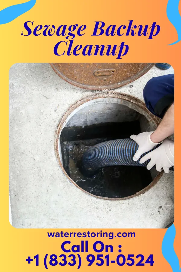 Sewage Backup Cleanup in Catawissa, PA
