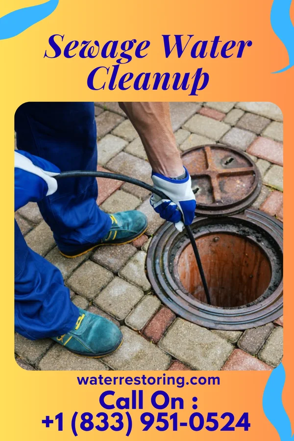 Sewage Water Cleanup in Catawissa, PA