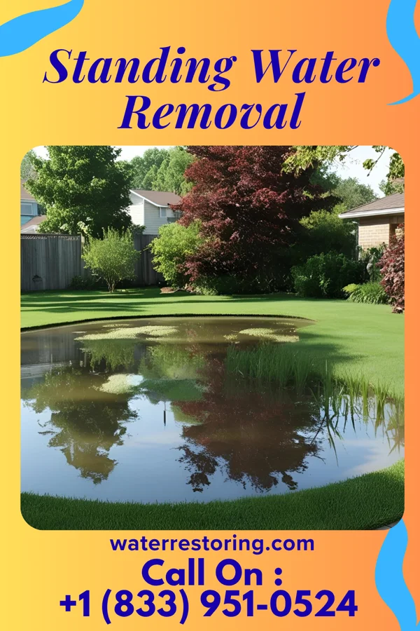 Standing Water Removal in Catawissa, PA